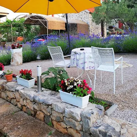 House Marie's Lavander Dream